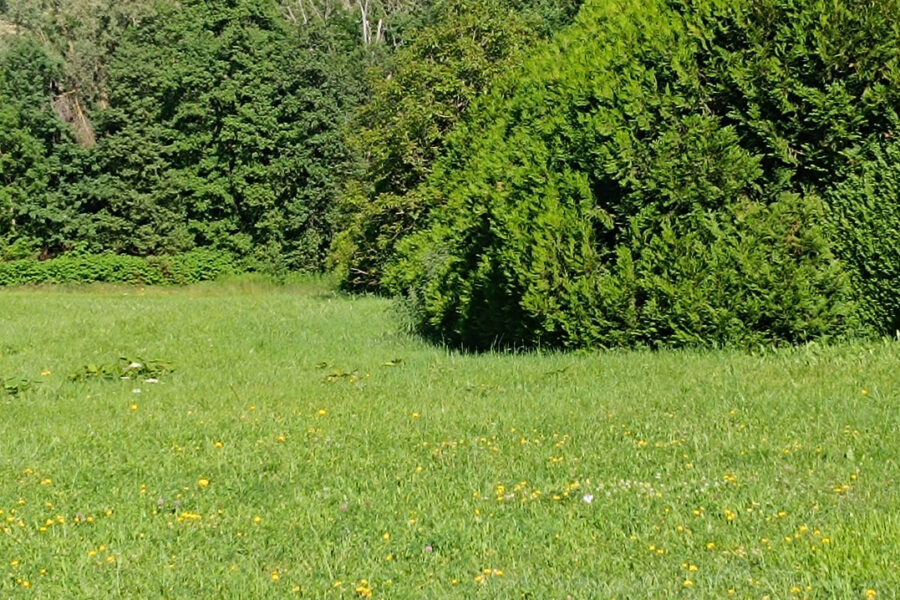 Terrain à vendre à Cusset