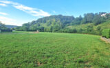 Terrain à vendre à Mauléon-licharre
