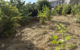 Maison à vendre à Marcenat — Vue nature — photo 7