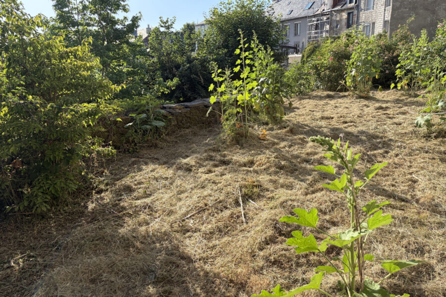 Maison à vendre à Marcenat — Vue nature — photo 7