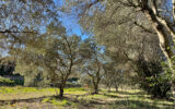 Terrain à vendre à Roquebrune-sur-argens