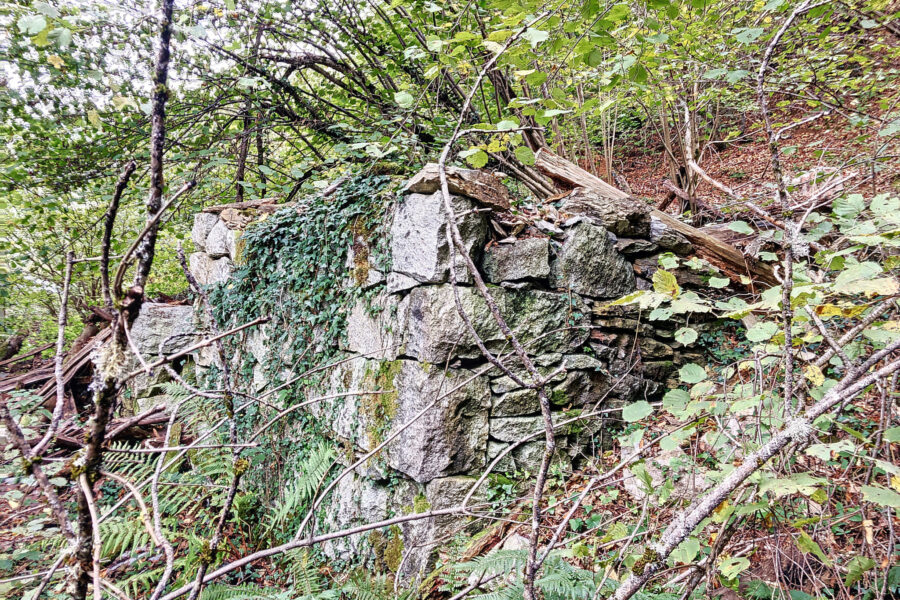 Terrain à vendre à Aulus-les-bains