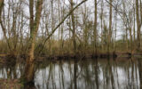Terrain à vendre à Joigny