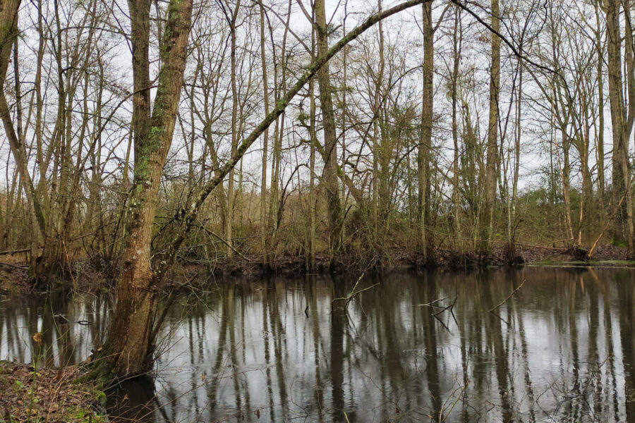 Terrain à vendre à Joigny