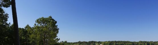 vue lac plage Biscarrosse