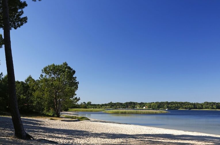 vue lac plage Biscarrosse