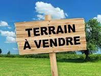 Terrain à vendre à Bois le roi