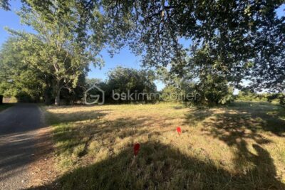 Terrain à vendre à Terce