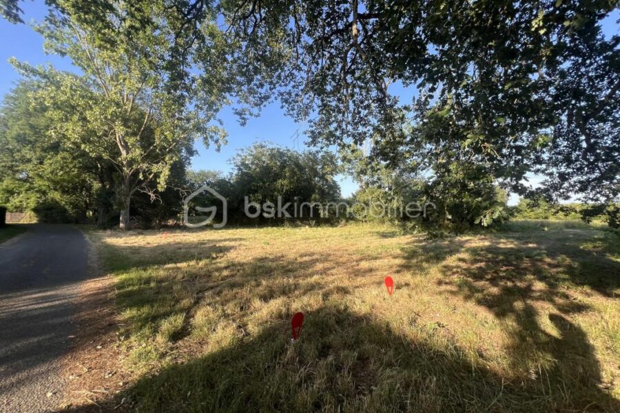 Terrain à vendre à Terce