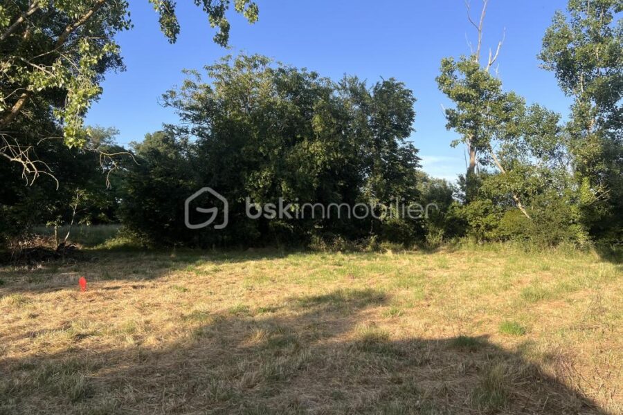 Terrain à vendre à Terce