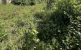Terrain à vendre à Champigny sur marne