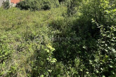 Terrain à vendre à Champigny sur marne