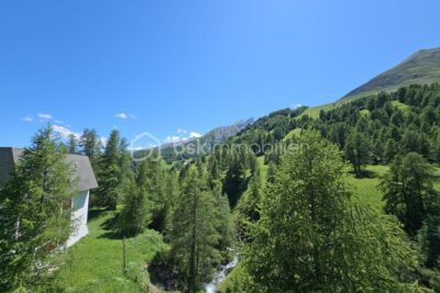 Appartement à vendre à La foux d allos