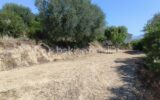 Terrain à vendre à La seyne sur mer