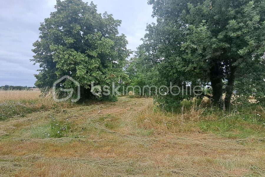 Terrain à vendre à Peyssies