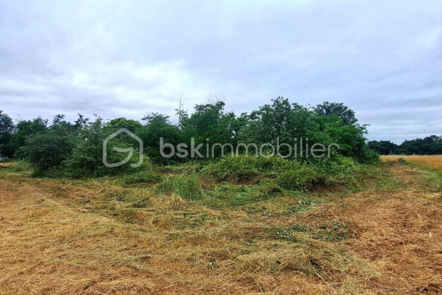 Terrain à vendre à Peyssies