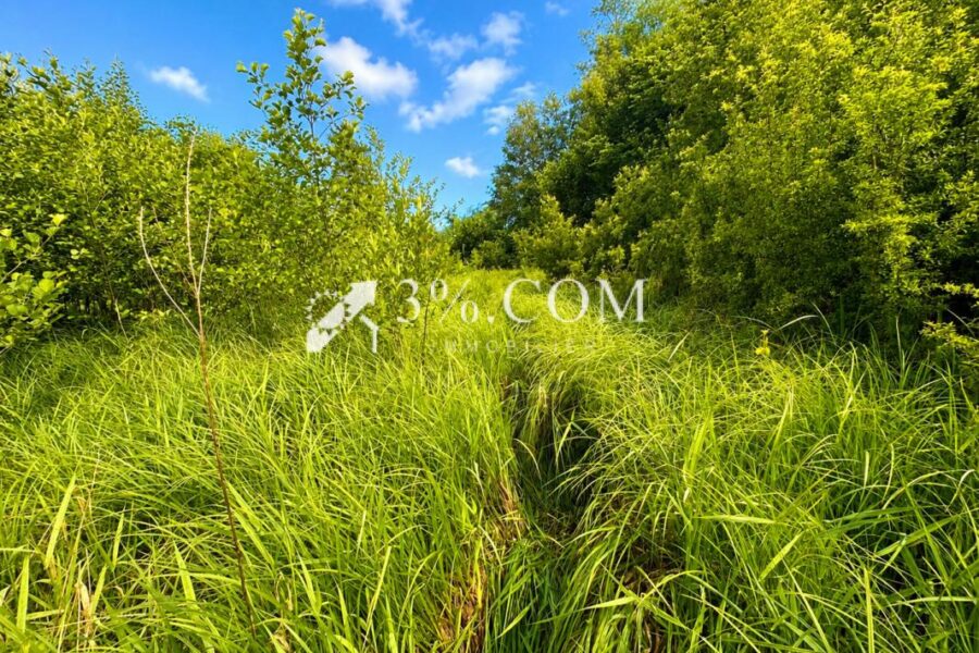 Terrain à vendre à Chazelles sur albe