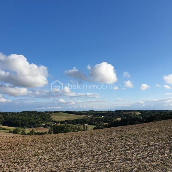 Terrain à vendre à Monclar de quercy