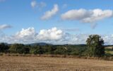 Terrain à vendre à Salvagnac