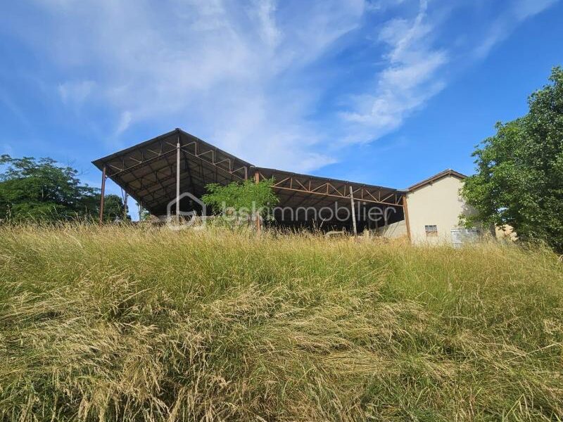 Maison à vendre à La sauvetat