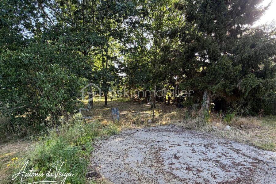 Maison à vendre à Gabarret — Vue dégagée — photo 11