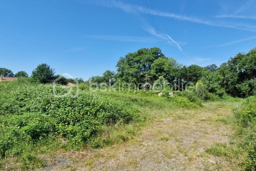 Terrain à vendre à Viennay