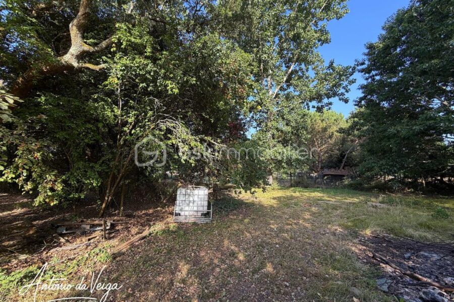 Maison à vendre à Gabarret — Vue dégagée — photo 12