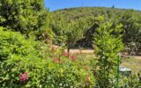 Maison à vendre à Rieussec — Vue nature — photo 12