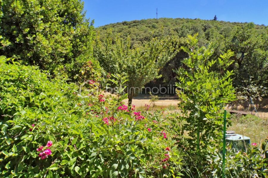 Maison à vendre à Rieussec — Vue nature — photo 12