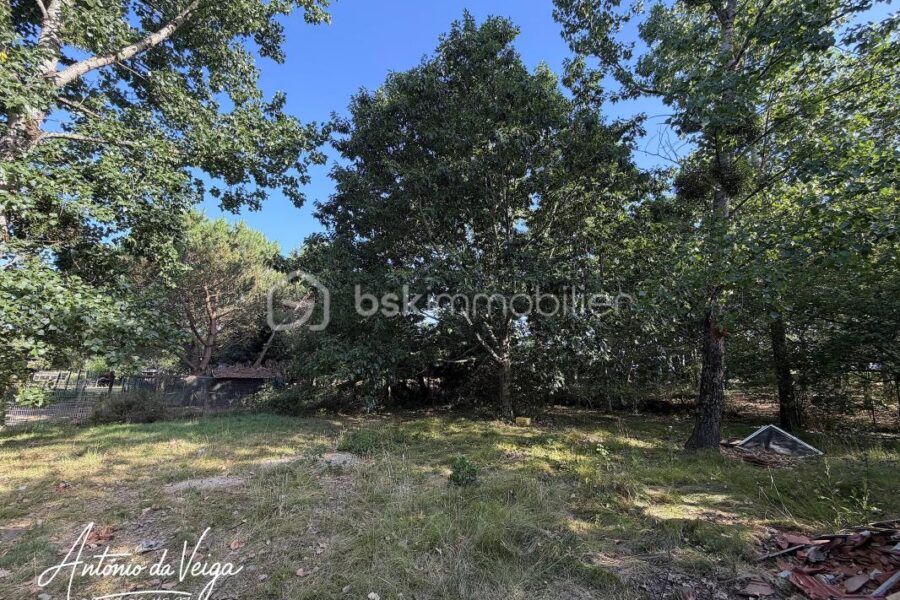 Maison à vendre à Gabarret — Vue dégagée — photo 1