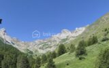 Appartement à vendre à La foux d allos