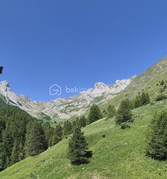 Appartement à vendre à La foux d allos
