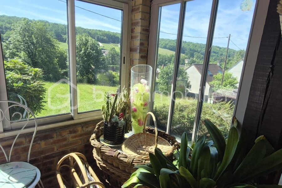 Maison à vendre à Saacy sur marne — Vue nature — photo 13