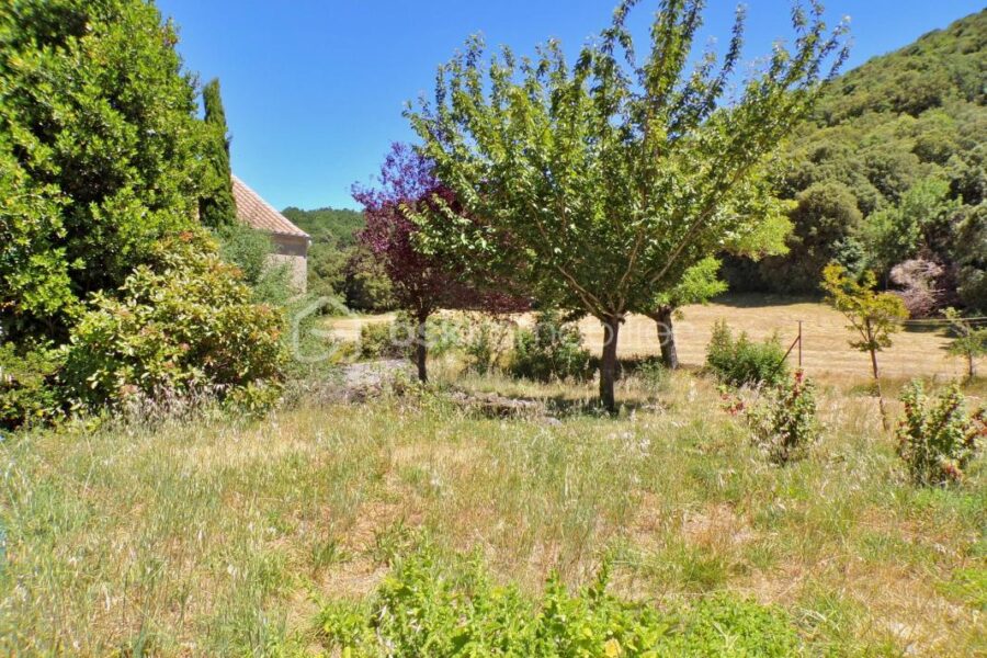 Maison à vendre à Rieussec — Vue nature — photo 14