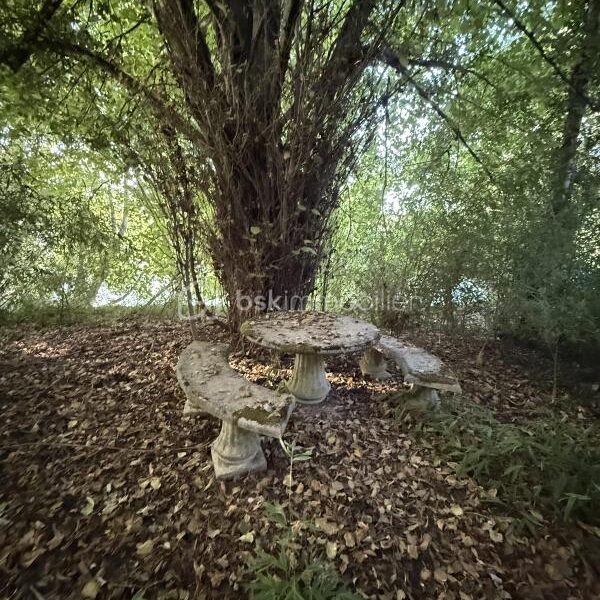 Maison à vendre à Razac sur l isle — Vue nature — photo 15