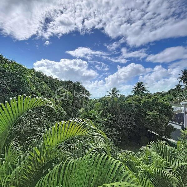 Maison à vendre à Le gosier — Vue nature — photo 2