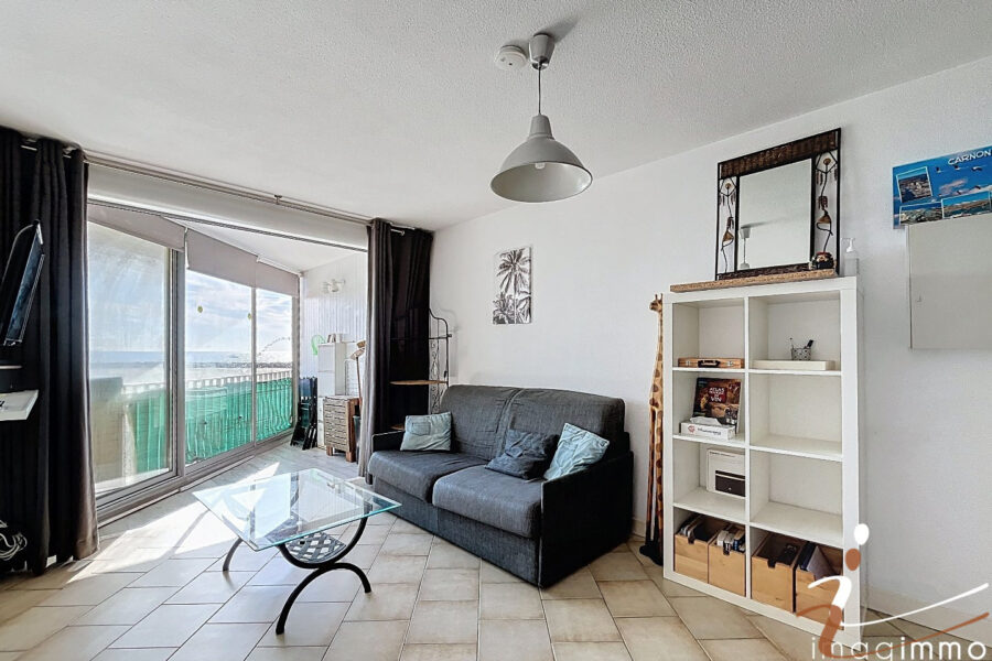Appartement à vendre à Carnon plage