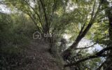 Maison à vendre à Razac sur l isle — Vue nature — photo 16