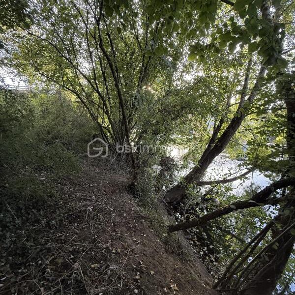 Maison à vendre à Razac sur l isle — Vue nature — photo 16