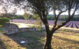 Maison à vendre à Grignan — Vue nature — photo 15