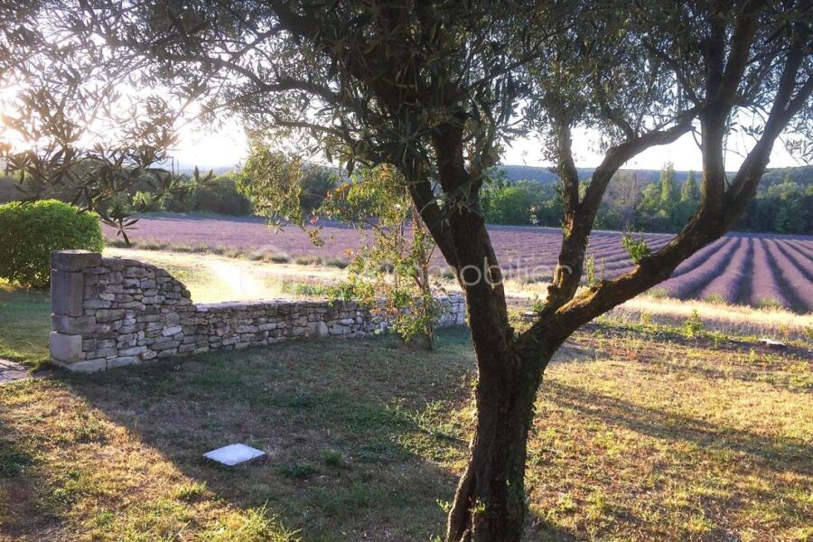 Maison à vendre à Grignan — Vue nature — photo 15