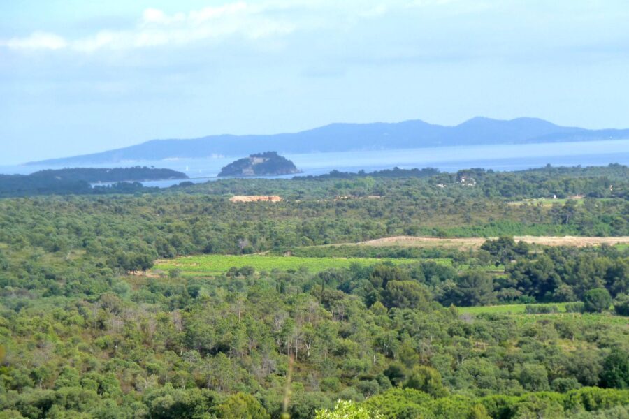 Terrain à vendre à La londe-les-maures