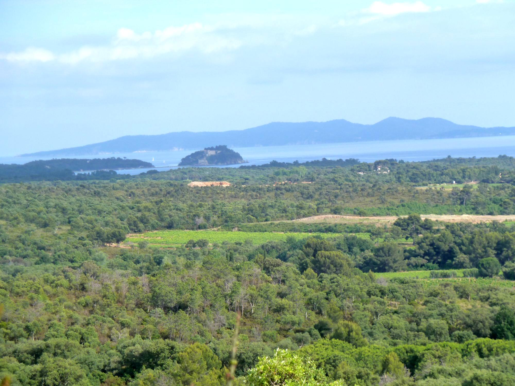 Terrain à vendre à La londe-les-maures