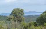 Terrain à vendre à La londe-les-maures