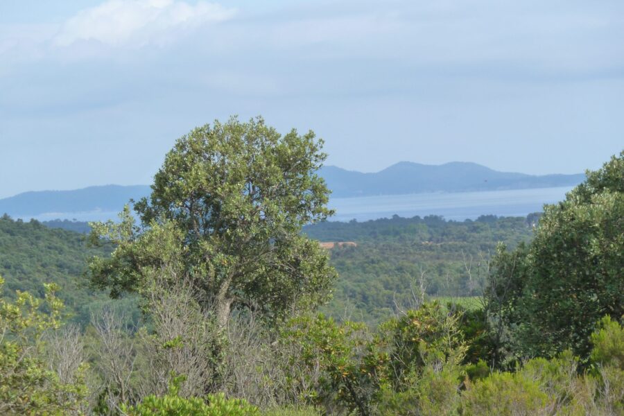 Terrain à vendre à La londe-les-maures