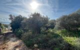 Terrain à vendre à La ciotat
