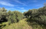 Terrain à vendre à La ciotat