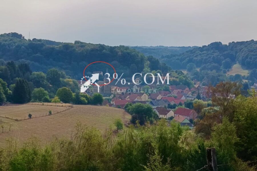 Maison à vendre à Walschbronn — Vue nature — photo 17
