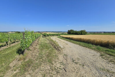 Terrain à vendre à Chemilly
