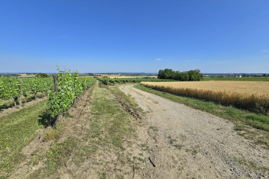 Terrain à vendre à Chemilly